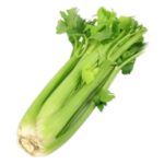 Celery