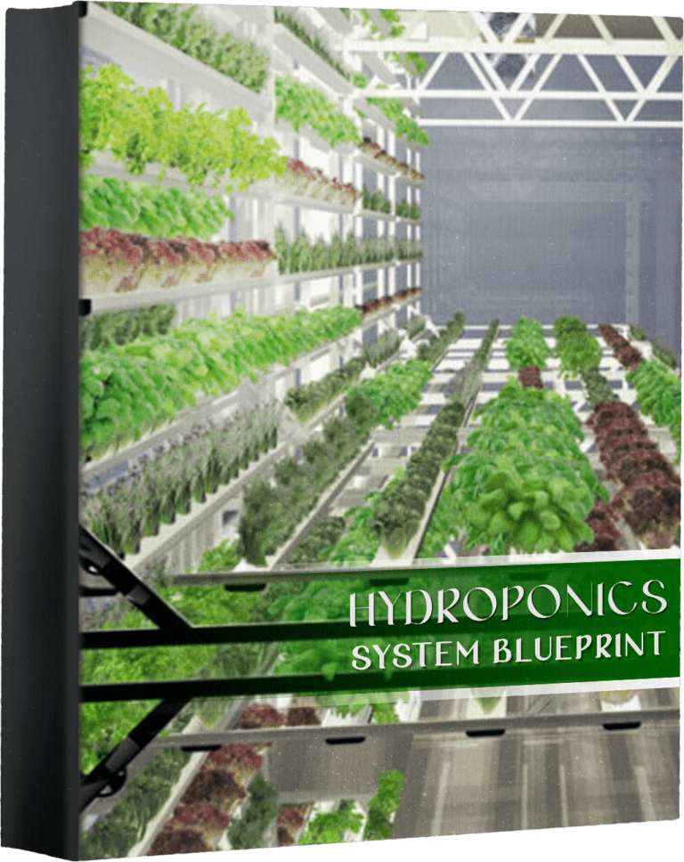 HYDROPONIC-SYSTEM-BLUEPRINT